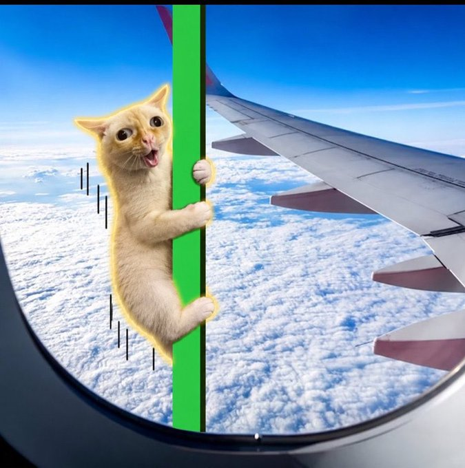 Coughing Cat holding onto a pole outside an airplane