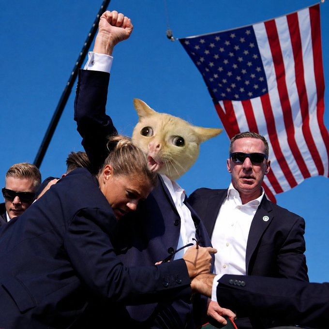 Coughing Cat at a political rally